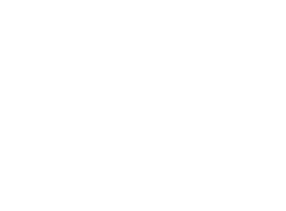 Saldan Homes