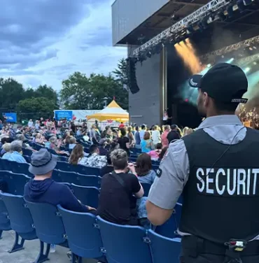 Concerts event Security