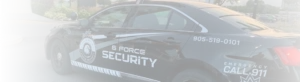 Mobile Patrol Security services