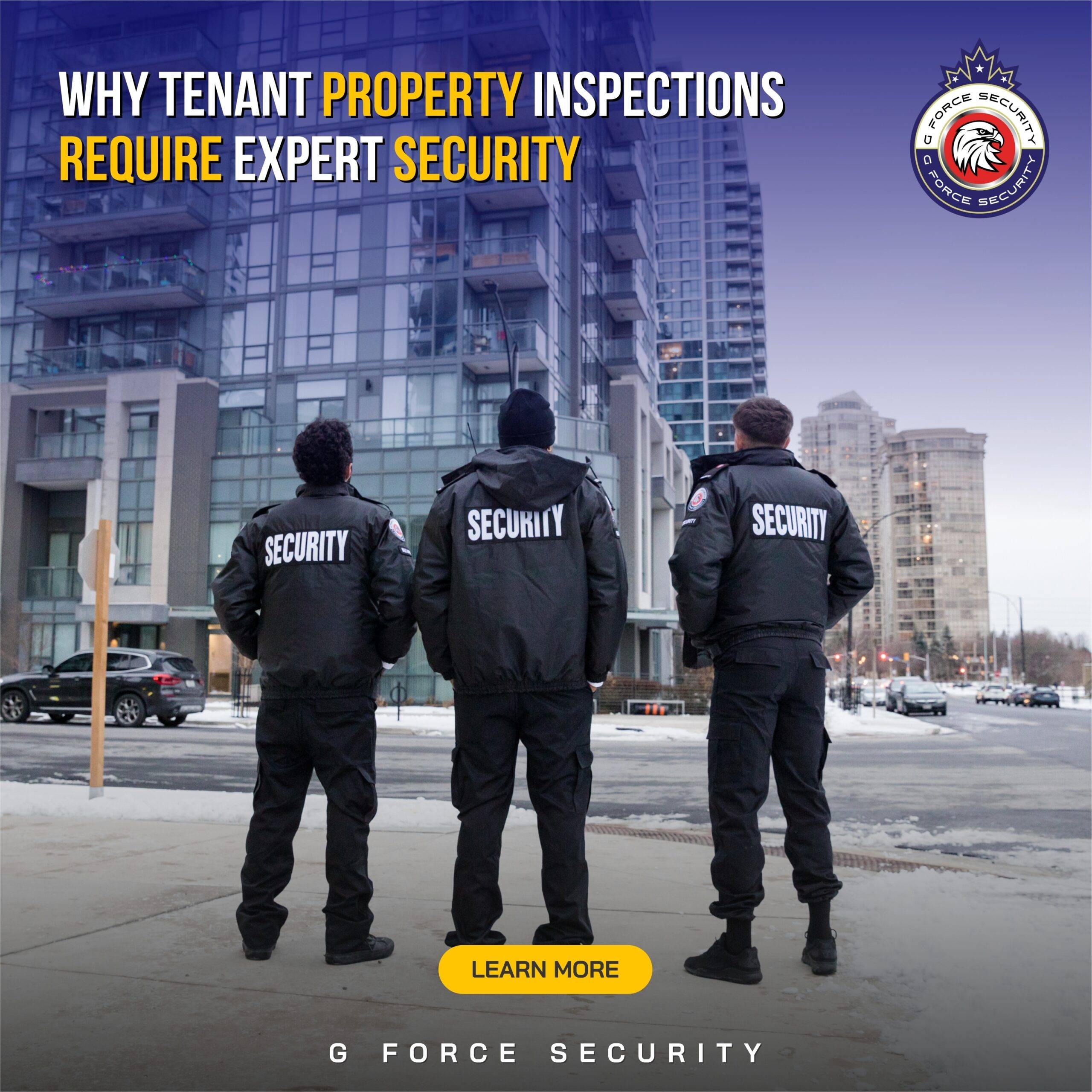 Why-Tenant-Property-Inspections-Require-Expert-Security
